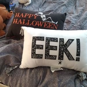 2 Decorative Halloween pillows